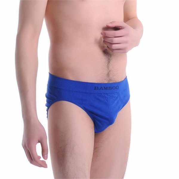 royal blue underwear brief on men
