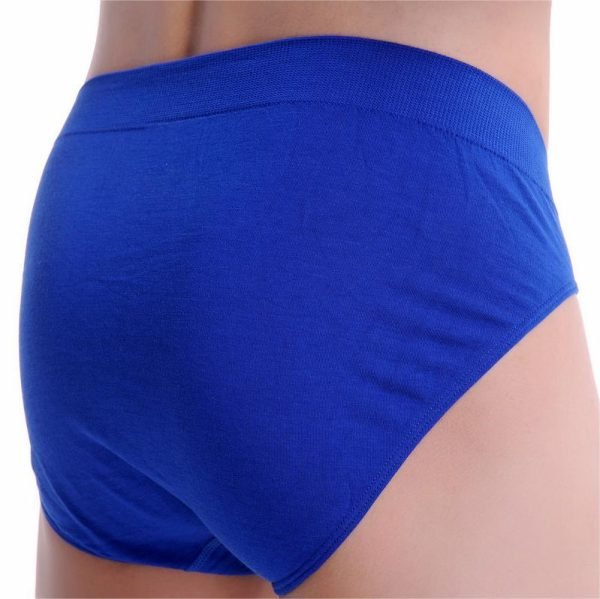 royal blue underwear brief back