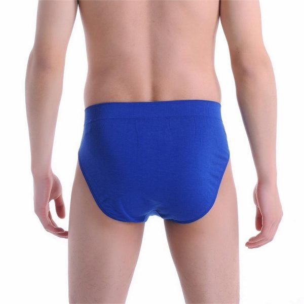 royal blue underwear brief back